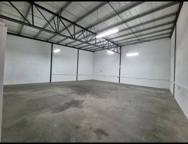253M² WAREHOUSE TO LET IN ELSIES RIVER INDUSTRIAL
